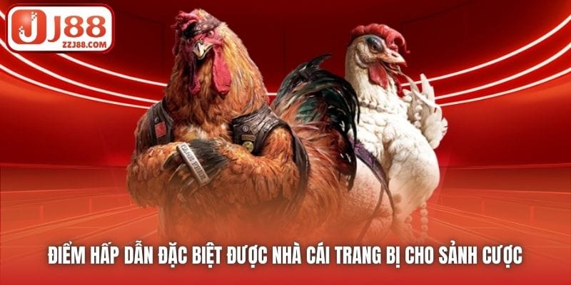 Điểm hấp dẫn đặc biệt được nhà cái trang bị cho sảnh cược 