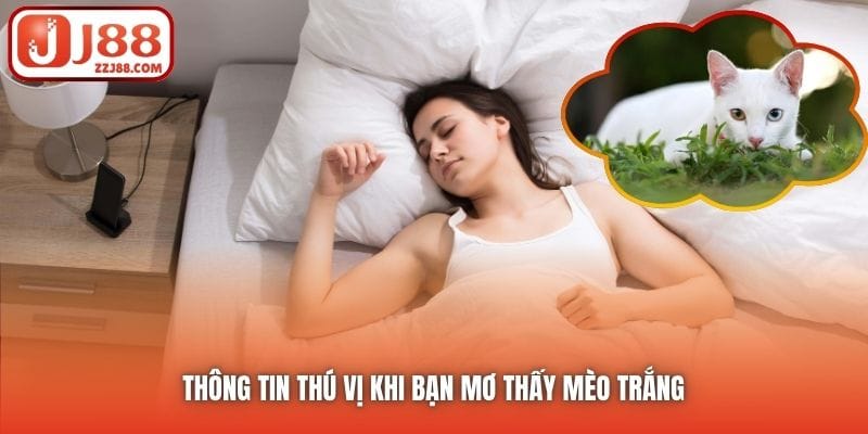 Thông tin thú vị khi bạn mơ thấy mèo trắng 